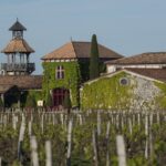 Photo - "In the footsteps of the winemaker" workshop at Château Smith Haut Lafitte ChateauSHL17 2016 TucaReines© 1