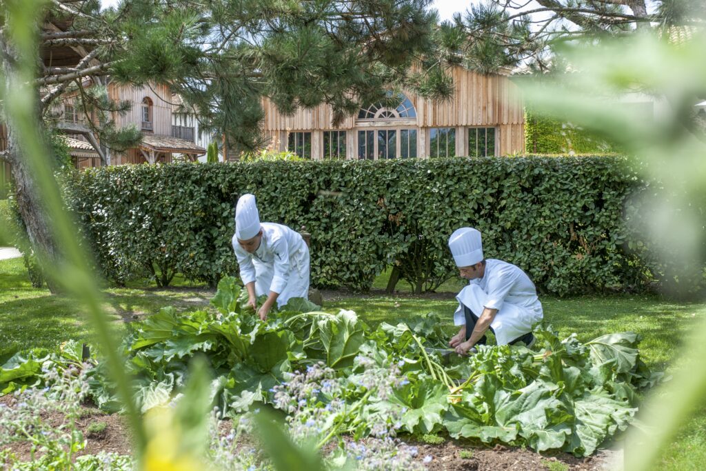 Photo - Our Vegetable Garden Charter04 2016 GdeLaubier