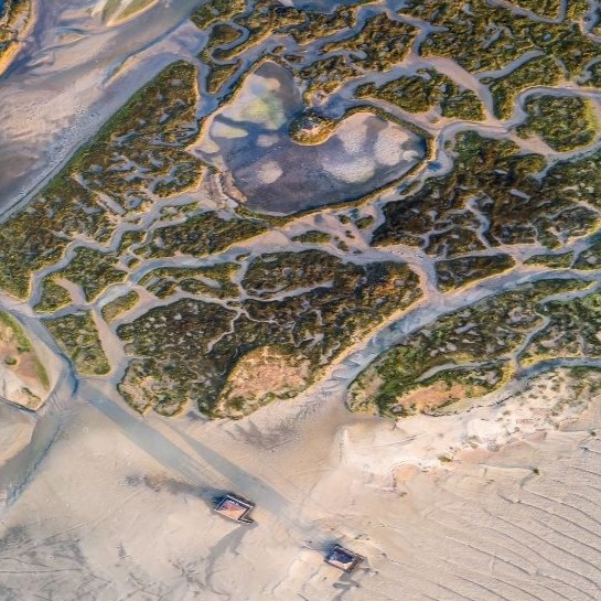 Photo - L'île aux Oiseaux Design sans titre 2