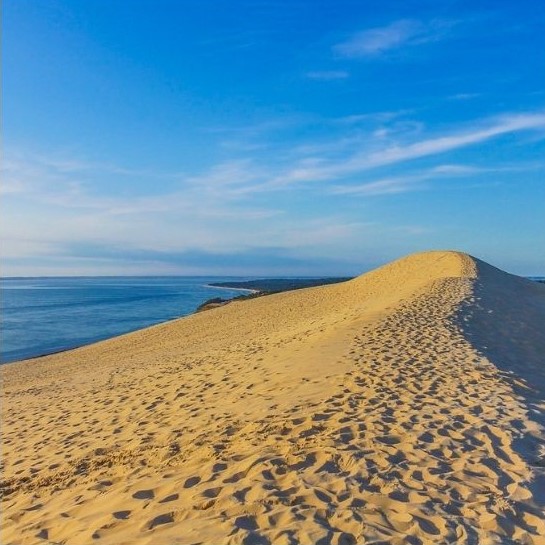 Photo - L'île aux Oiseaux Design sans titre 3